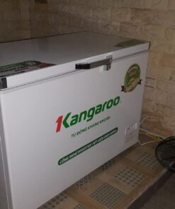 Tủ Đông Kanggaroo cũ