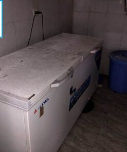 thanh lý tủ đông 800 lít