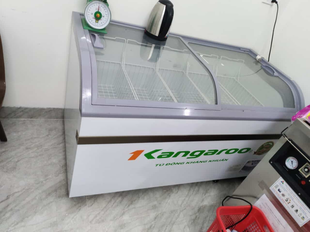 MUA TỦ ĐÔNG 500 LÍT CŨ