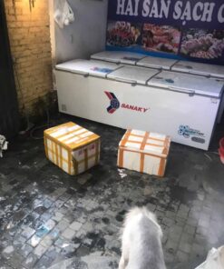 tủ đông 1200 lít cũ