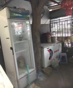tủ dông thanh lý