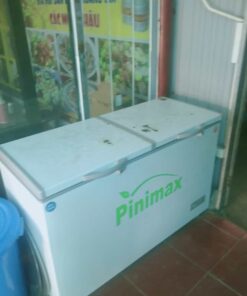 tủ đông pinimax