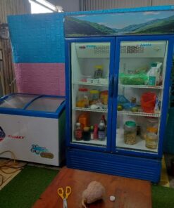 tủ mát sanaky 700 lít