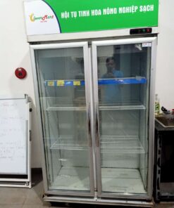 Thanh lý tủ mát alaska 800 lít