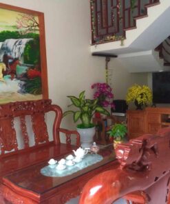 Bộ bàn ghế gỗ hương đá tay 12